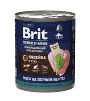 Нет заданного изображения 