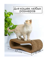Нет заданного изображения 
